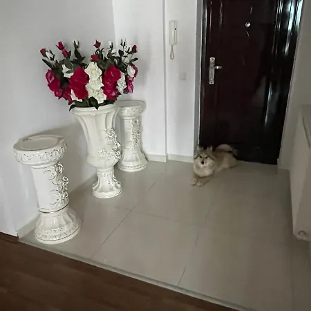 Apartman Medaria Residence